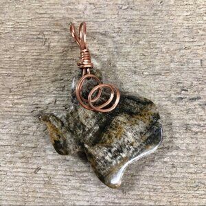 Petrified Wood Texas Necklace Pendant